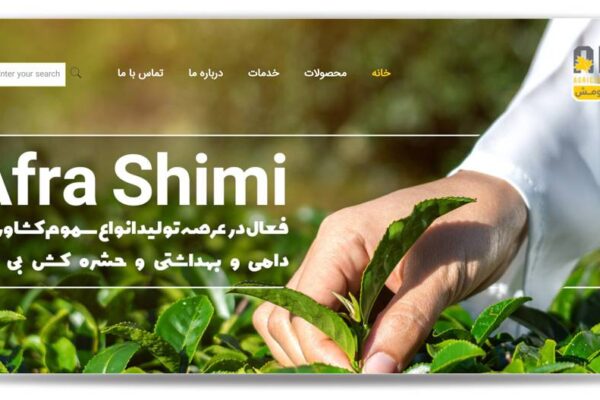 طراحی سایت در برندینگ، طراحی وب سایت در اصفهان