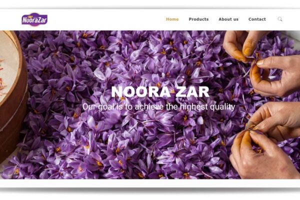 طراحی سایت شرکتی