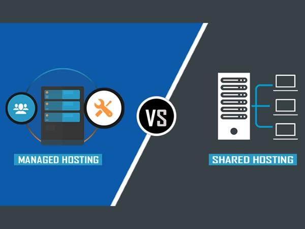 هاست وردپرس مدیریت شده (Managed WordPress Hosting)